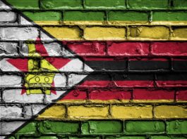 Mnangagwa