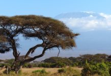 Mountain hiking project launched in Kigali hiking