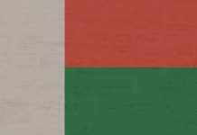 Madagascar plague outbreak may be winding down Madagascar