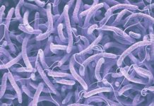 Cholera outbreak confirmed in Lusaka cholera
