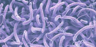 Cholera outbreak confirmed in Lusaka cholera