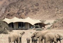 Desert Elephant Conservation study continues at Hoanib Hoanib