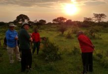 Tanzania announces new licence fees for tour operators Operators