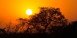 Kruger Lowveld aims to boost tourism in 2018 Lowveld