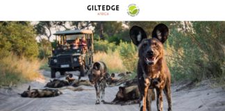 Green thumbs up! Giltedge is Africa is now Fair Trade approved Fair Trade