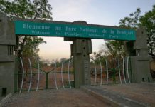 Partnership formed to protect critical West African Ecosystem Pendjari