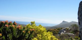 Prescribed burning in Table Mountain National Park due to take place Prescribed burn