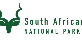 Kruger National Park to remove Kanniedood Dam Kanniedood dam