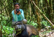 Travel with purpose with Wilderness Safaris – Great Apes and Rainforests WIlderness Safaris