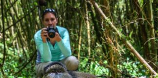 Travel with purpose with Wilderness Safaris – Great Apes and Rainforests WIlderness Safaris