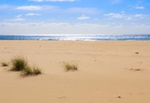 Beach and bush – Mozambique the best of both worlds sea adventure