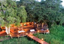 Uncharted Africa now managing Mapula Lodge Mapula Lodge