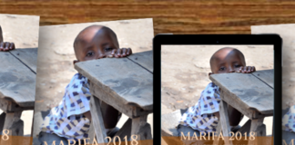 Major UK Safari industry research data made available Marifa
