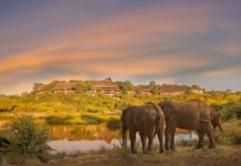 New fitness room and pool deck for Victoria Falls Safari Lodge Victoria Falls safari lodge