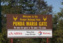 Kruger National Park receives new vehicles fleet Kruger National Park new vehicles
