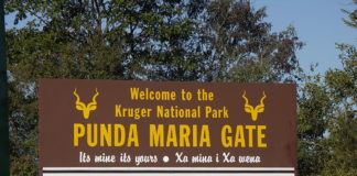 Kruger National Park receives new vehicles fleet Kruger National Park new vehicles