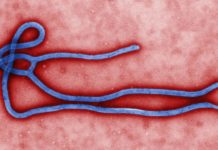 DRC Ebola Outbreak: WHO concerned as first urban case is confirmed DRC Ebola Outbreak