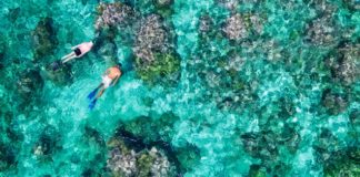 Explore Seychelles’ outer islands with Blue Safaris Seychelles Blue Safaris Seychelles