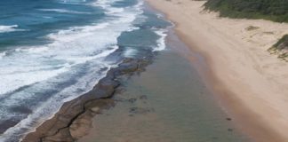 Wilderness Safaris Rebrands Rocktail Wilderness Safaris Rebrands Rocktail