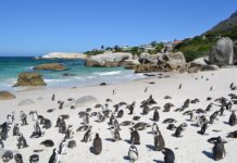 The Cape invited to UNWTO World Conference on Smart Destinations Smart Destinations