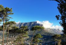Cape Town is open for business Cape Town is open