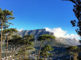 Cape Town is open