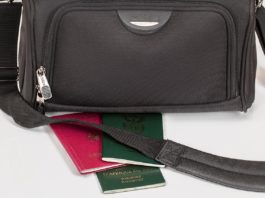 Travel Market Index