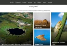 Wilderness Safaris launches new website New website
