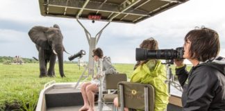 Photography hotel opens in Chobe Photography hotel