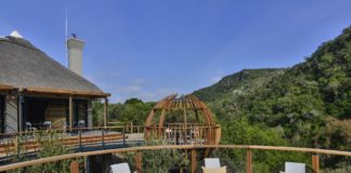 Investment to up Shamwari’s game Shamwari