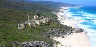 Natural Selection to open first property in South Africa in 2019 Natural Selection