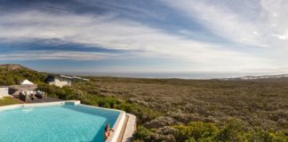 Springbok Atlas Tours & Safaris to improve sustainability Springbok Atlas