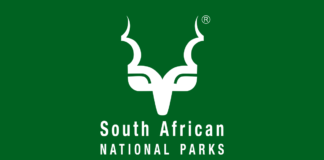Bombing device discovered in the Kruger National Park Bombing device