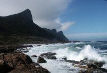 Experience the Cape Town Big 6 this summer Big 6