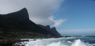 Experience the Cape Town Big 6 this summer Big 6