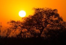 Access for Kruger National Park day visitors during the 2018 festive season Kruger National Park Day visitors