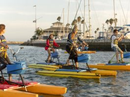 health and wellness trends