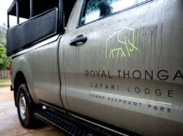 Royal Thonga Safari Lodge