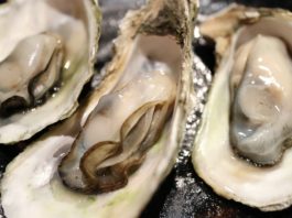Oyster Festival