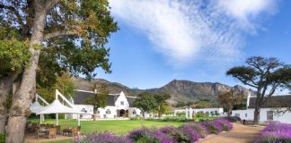 Steenberg Hotel and Catharina’s Restaurant closing for renovations Steemberg Hotel