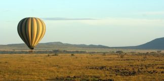 Serengeti Balloon Safaris to introduce North Serengeti Flights Serengeti Balloon Safaris