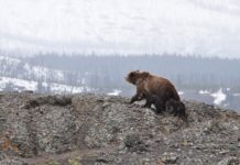 National Geographic and G Adventures expand partnership, offering new family trips for 2020 which are on sale now National Geographic