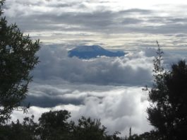 Kilimanjaro