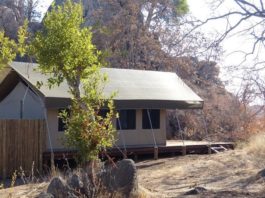 Tented Camp