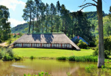 Pet-friendly chalets at Little Switzerland Resort get tails wagging Pet-friendly