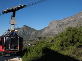 Table Mountain Maintenance