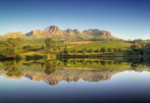 Stellenbosch Wine Region embraces environmental commitments by signing Porto Protocol Stellenbosch Wine Routes