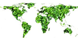 Make every day Earth Day – a roundup of our favourite ethical travel experiences