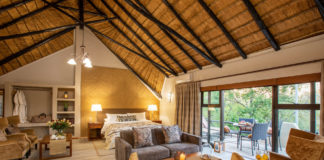 Mabula Game Lodge announces exciting reinvention Mabula Game Lodge