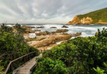 Garden Route Spoils Everyone Deserves After Making It Through 2020